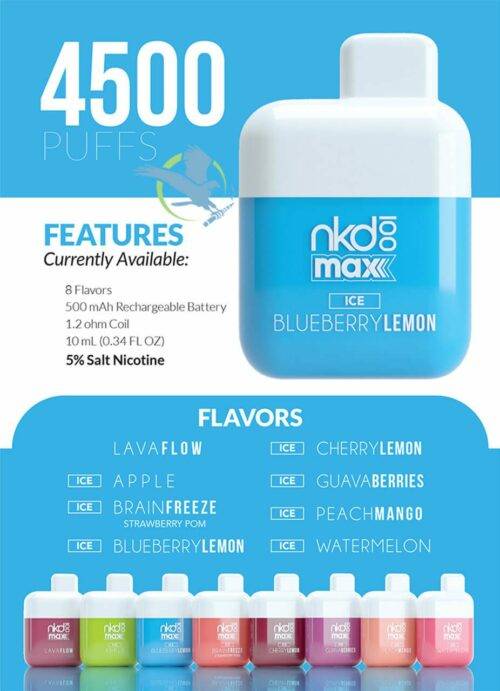 NAKED SALT MAX BRAIN FREEZE 4500 PUFF Dr Vaper