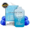 فيبتازيا اكس اير بلو راز 6000 سحبه 5% vapetasia blue razz فيبتازيا اكس اير بلو راز 6000 سحبه 5% vapetasia blue razz