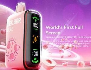 Geek Bar Plus 15000 puffs all flavors
