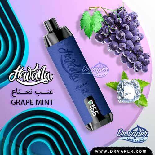 hawana 17000 ookah grape mint saudi vape