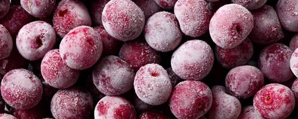 grape ice pic 3 دكتور فيب السعودية | سحبة، مزاج، معسل الكتروني وشيشة